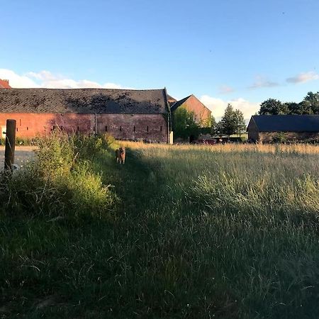Le Cottage - Maison De 6 A 8 Personnes - La Ferme Du Try Frasnes-lez-Gosselies 外观 照片