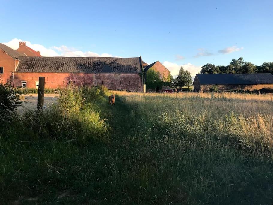 Le Cottage - Maison De 6 A 8 Personnes - La Ferme Du Try Frasnes-lez-Gosselies 外观 照片