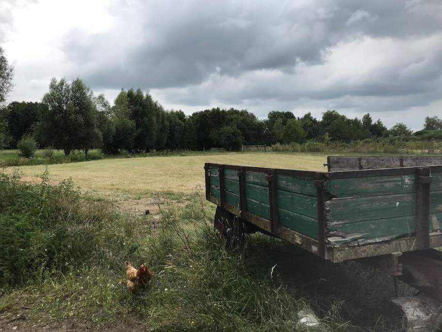 Le Cottage - Maison De 6 A 8 Personnes - La Ferme Du Try Frasnes-lez-Gosselies 外观 照片